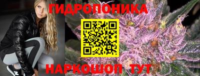 бошки Будённовск