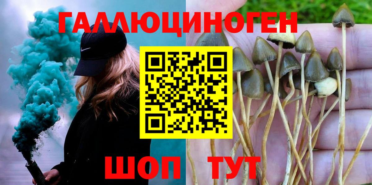 Галлюциногенные грибы MAGIC MUSHROOMS Отрадное